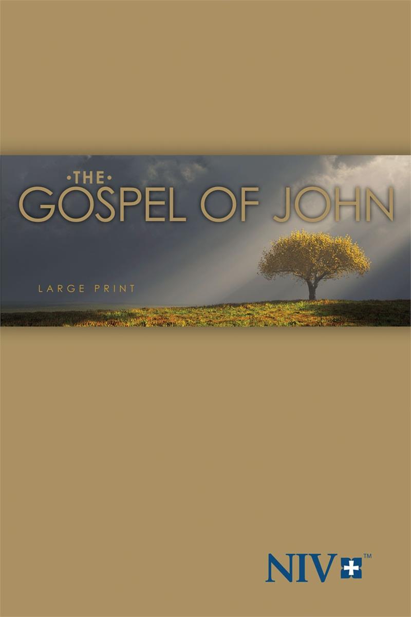 niv-gospel-of-john-large-print